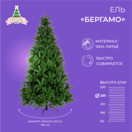 Ель БЕРГАМО